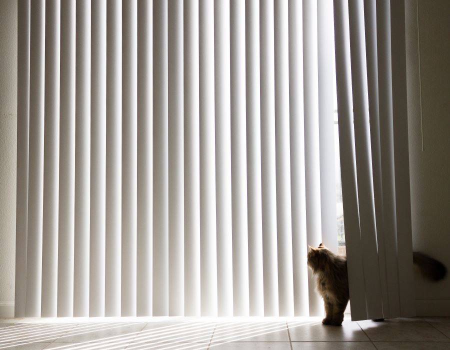 white vertical blinds with cat peeking through